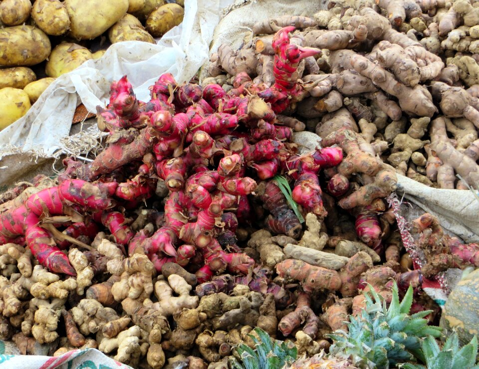 Red ginger market the roots