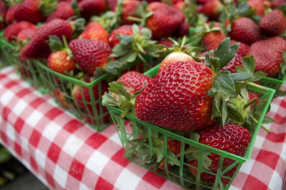 Berry fresh fruit