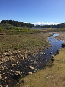 Nature water stream photo