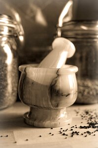 Spices shredder herbalism