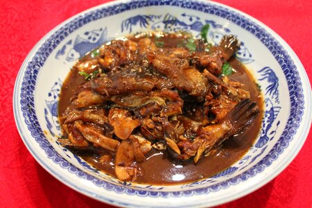 Puffer fish asian cuisine food photo