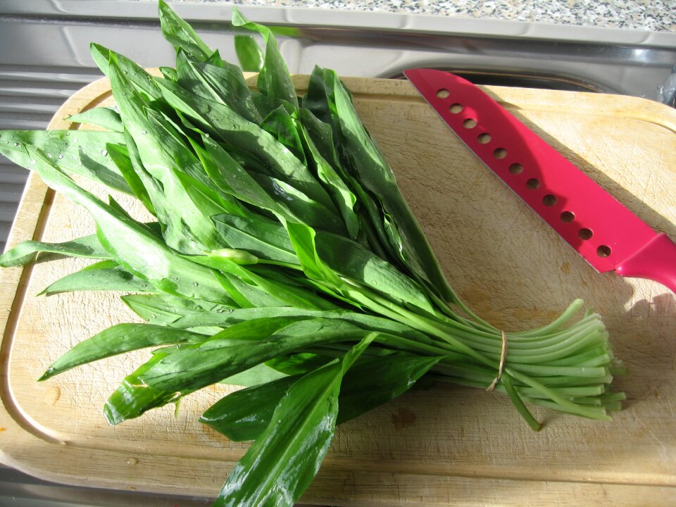 Medicinal plant garlic leaves edible