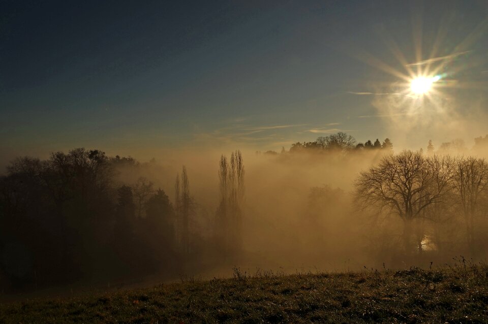 Rays autumn forest nature