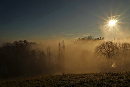 Rays autumn forest nature photo