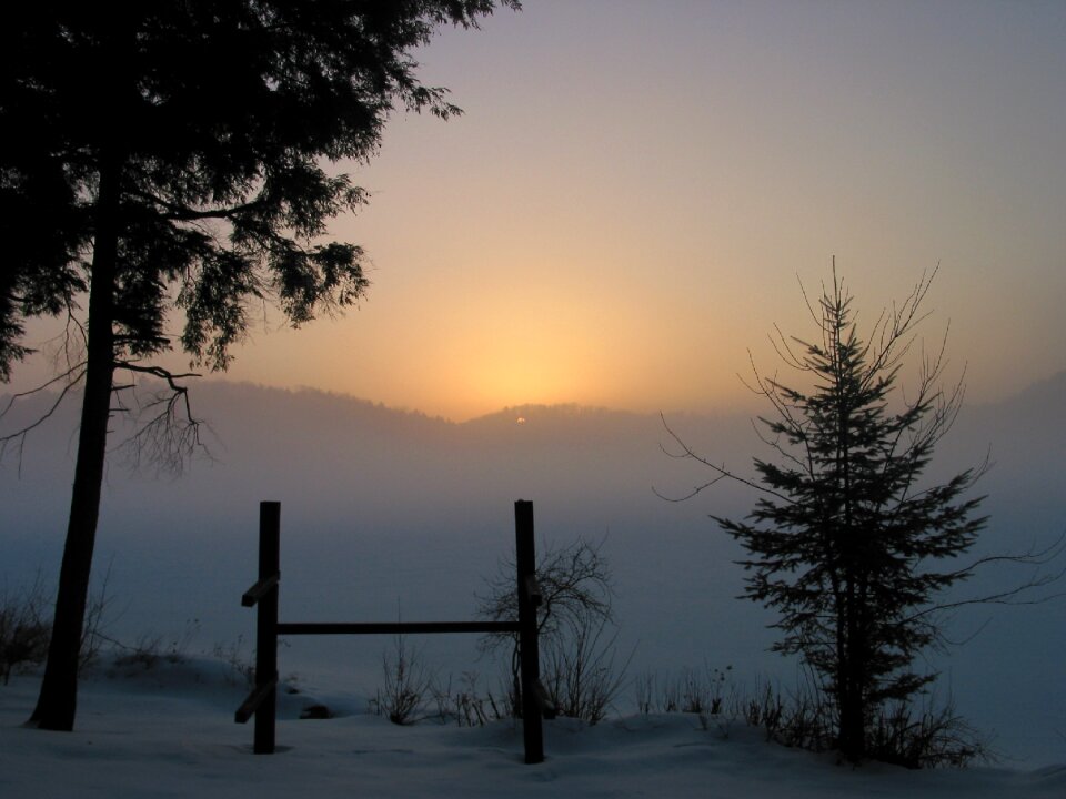 Isolated winter nature