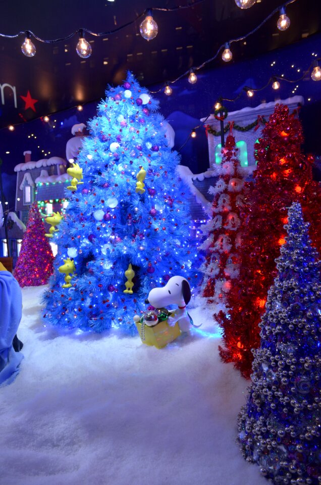 Christmas tree holiday