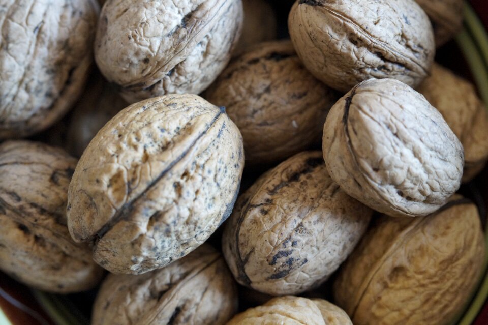 Walnut healthy food