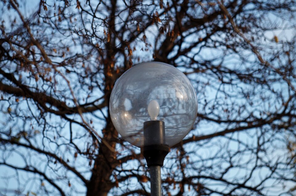 Lamp tree park