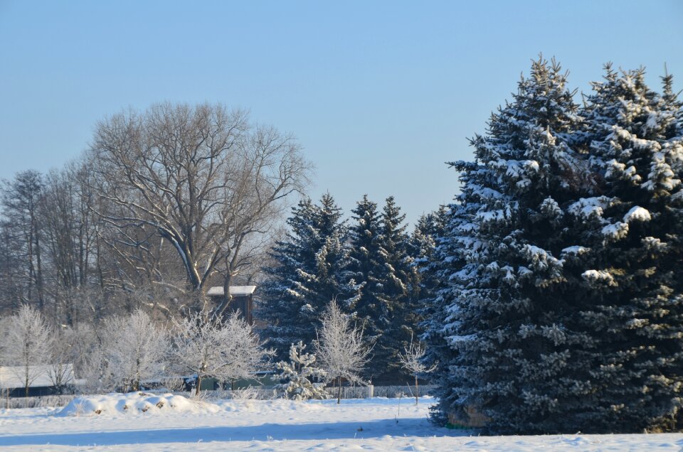Cold frozen winter