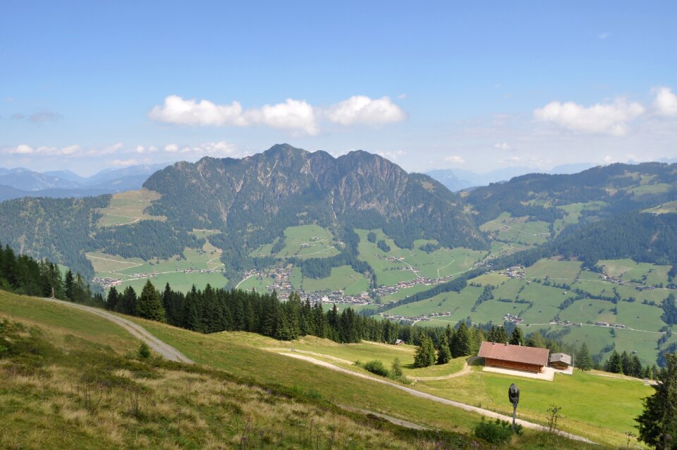 Panorama nature summer