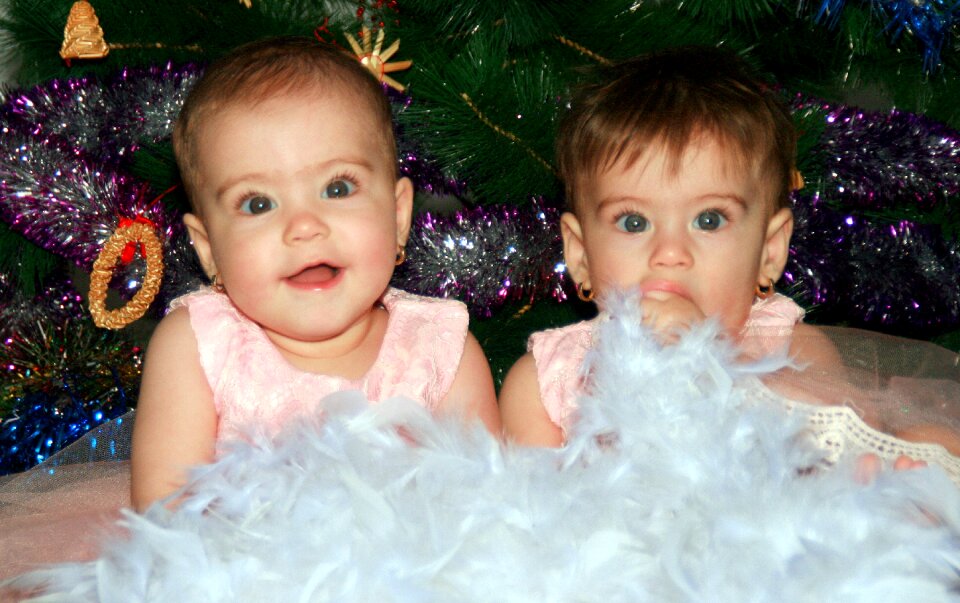 Christmas christmas tree love