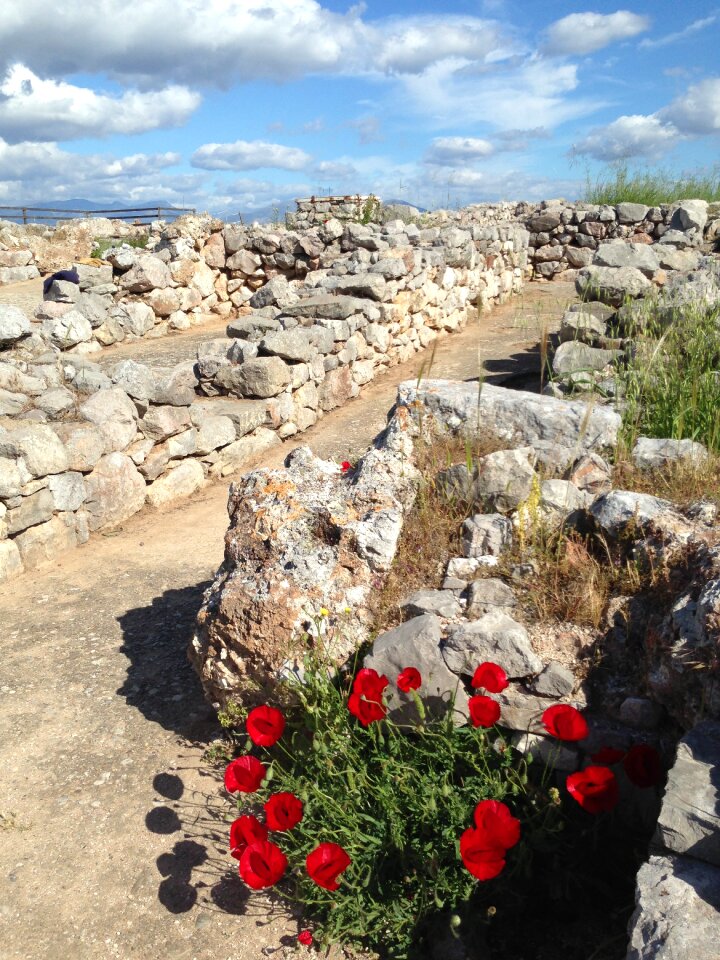 Architecture greek history