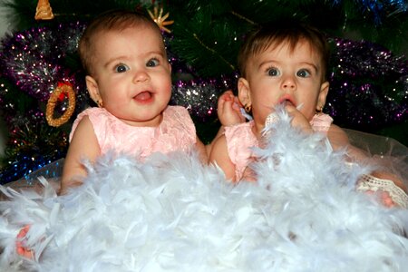 Christmas christmas tree love
