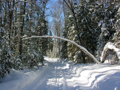 Trail cold nature