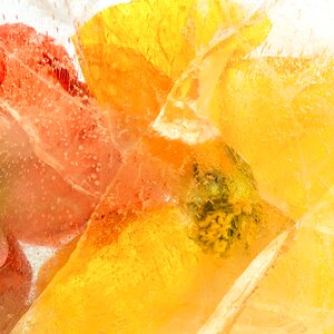 Freshness delicate bright
