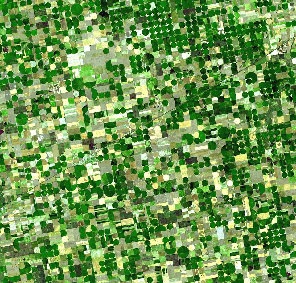 Agriculture agricultural economics kansas