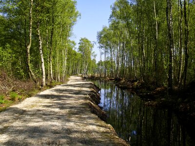 Dig nature reserve landscape