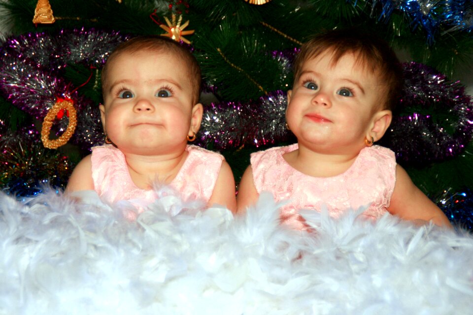 Christmas christmas tree love