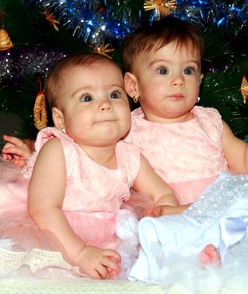 Christmas christmas tree love