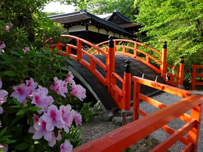 Shimogamo shrine bridge flowers