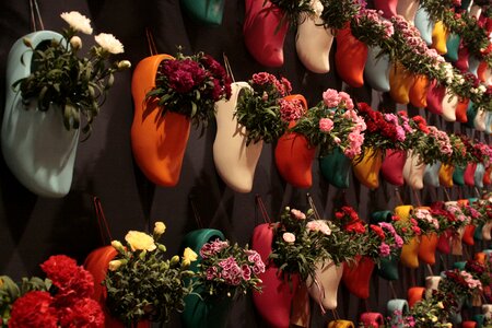 Flowers netherlands horticulture