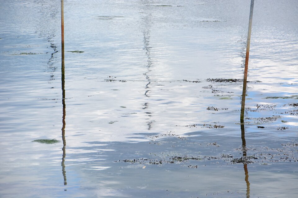 Fall water plan light reflections