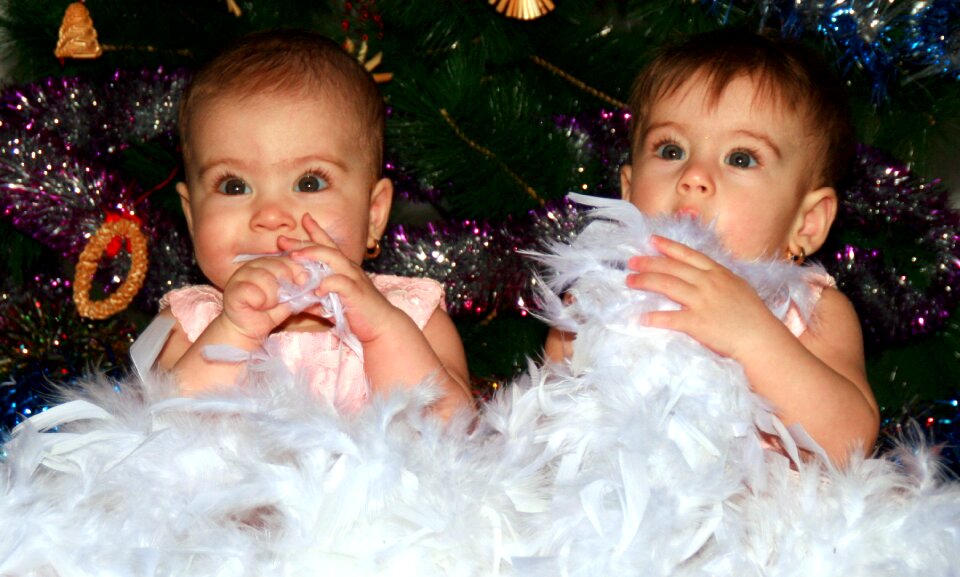 Christmas christmas tree love