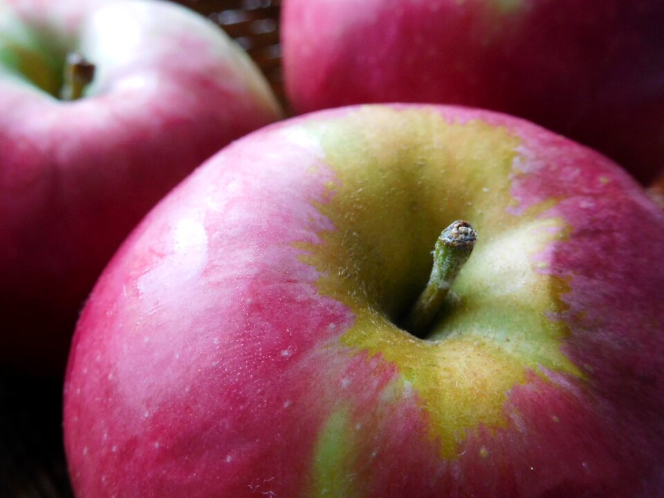 Harvest fresh fruit