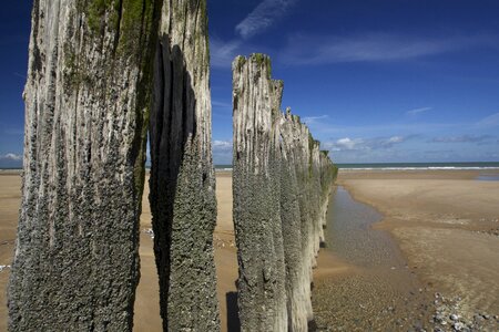 Pile coast water