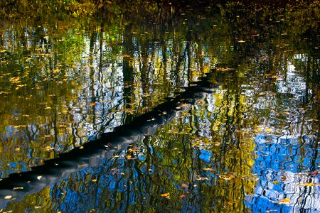 Autumn river isar canal photo