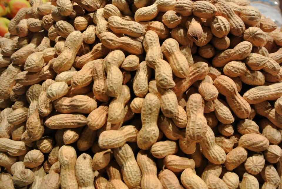 Food snack christmas