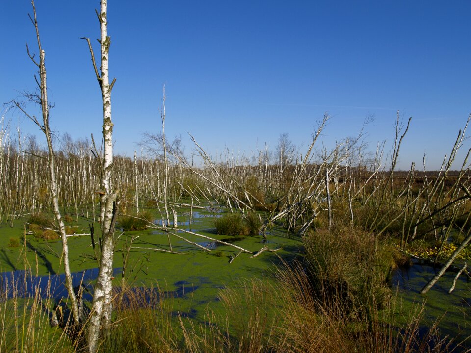 Moor moorland water