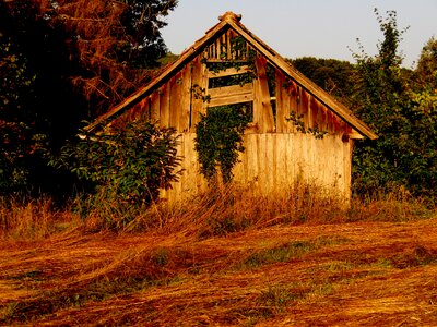 Scale nature hut