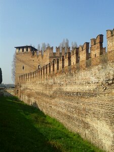 Walls blackbirds verona