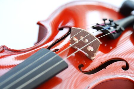 Musical instruments string photo