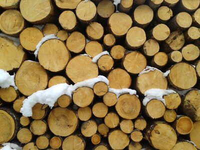 Snow trunks cut