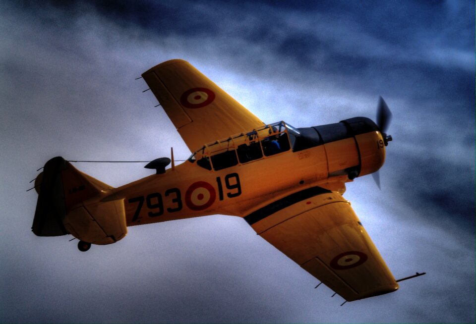 Flight pilot combat