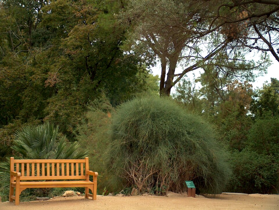 Barcelona park cityscape