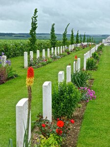 Soldiers remembrance headstones photo