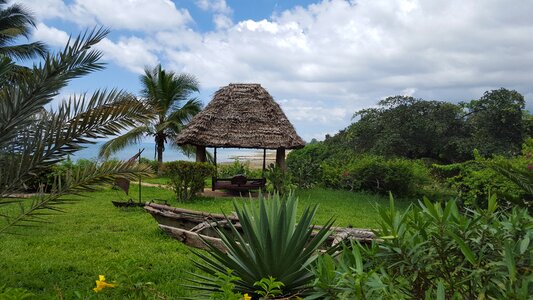 Beach tropics beach hut