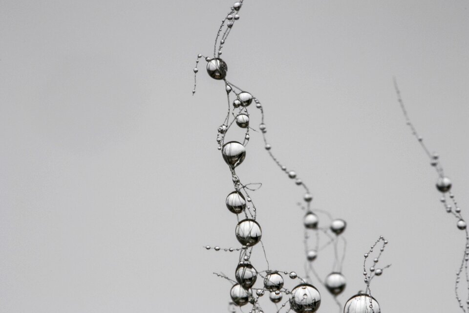 Pearl gray raindrop