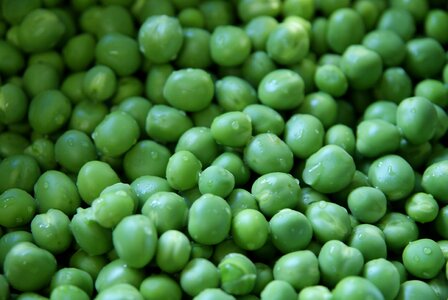 Healthy legume fresh