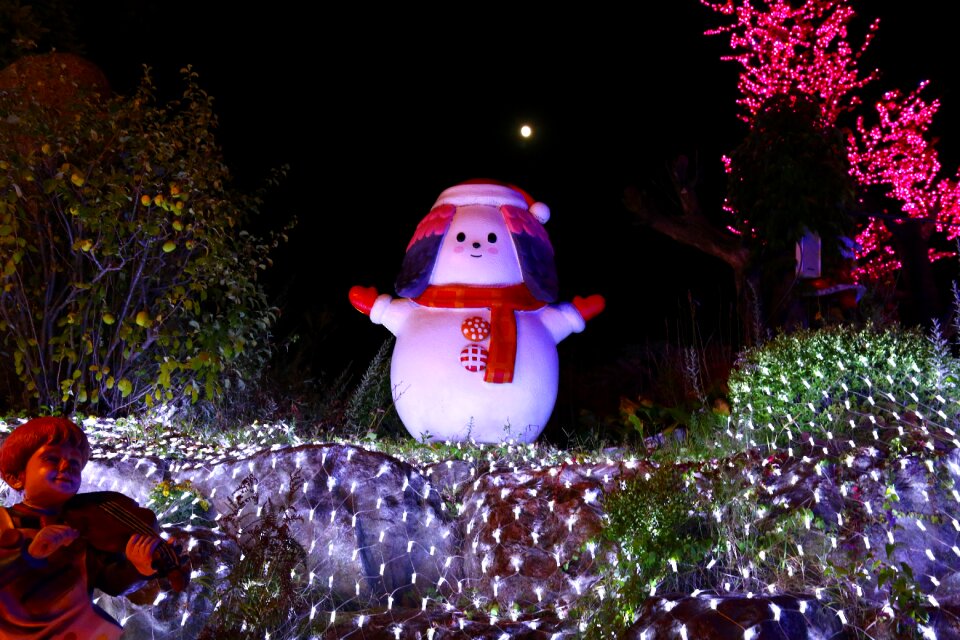 Christmas winter winter night