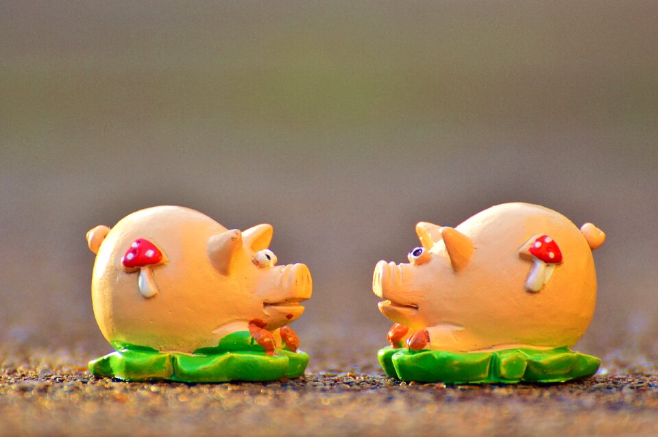 Cute lucky charm sow