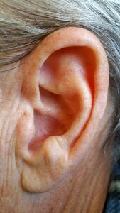 Head human body deaf