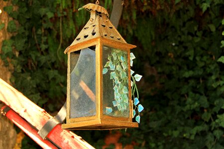Old leaves garden