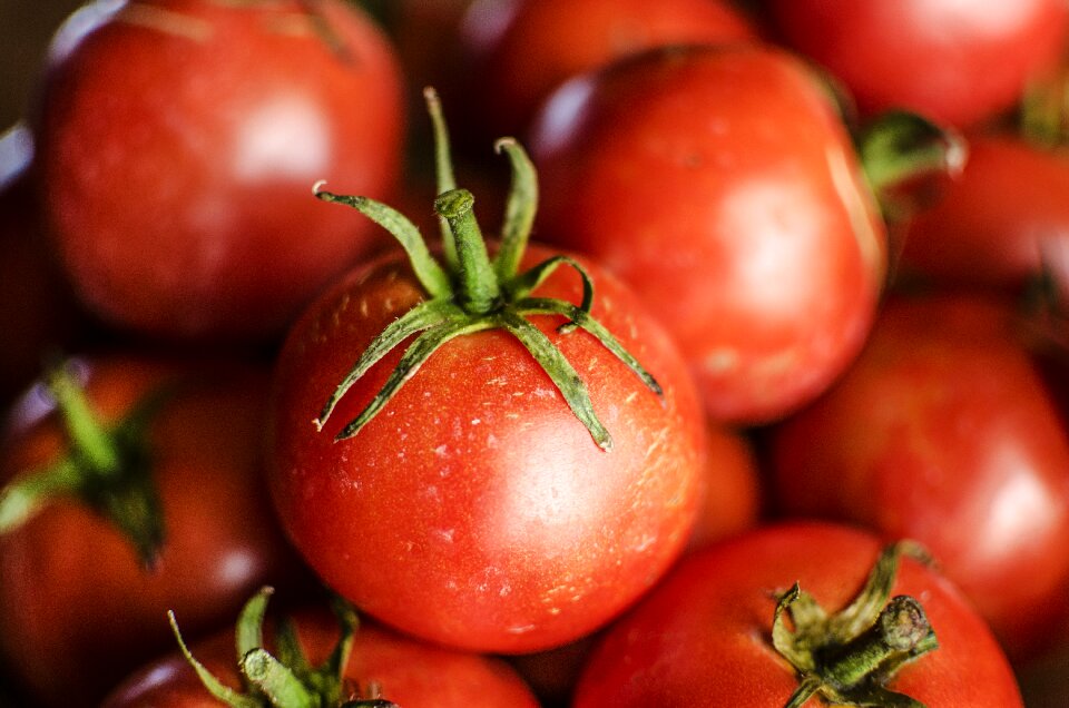 Food red fresh