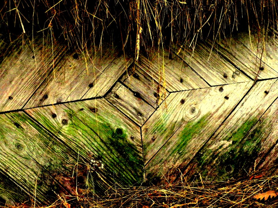 In the hay old door nature