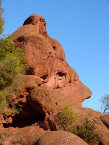 Priorat montsant face shape photo