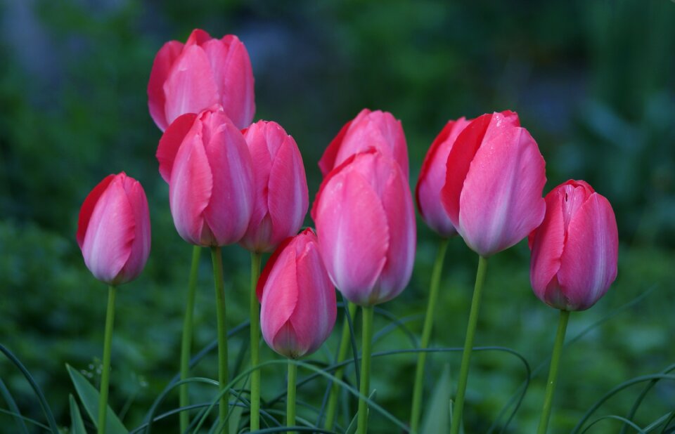 Spring together unit